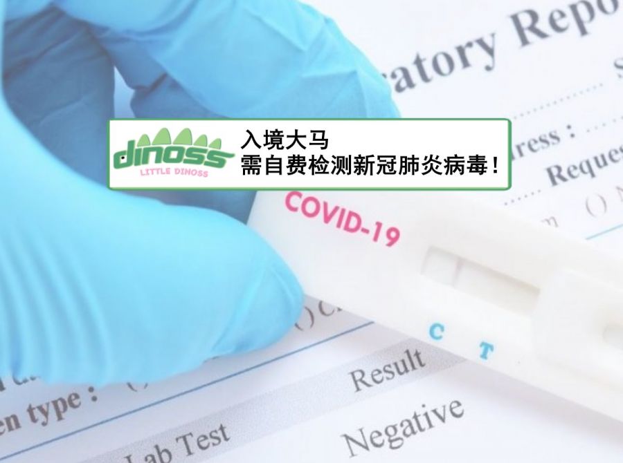 入境大马需自费新冠肺炎病毒检测！