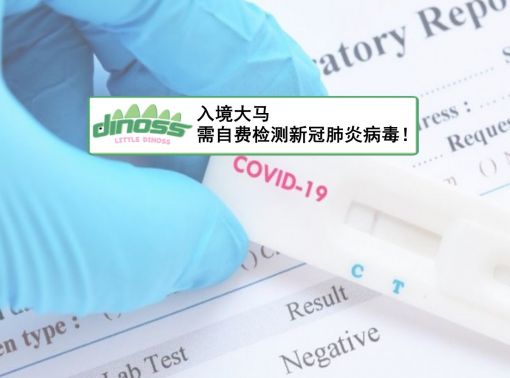 入境大马需自费新冠肺炎病毒检测！