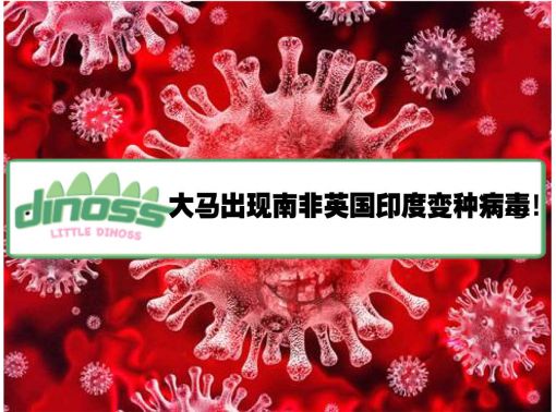 大马出现南非英国印度变种病毒！